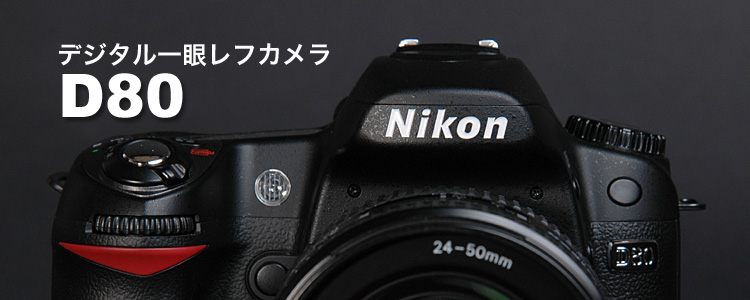 ニコン一眼レフデジタルカメラ D80